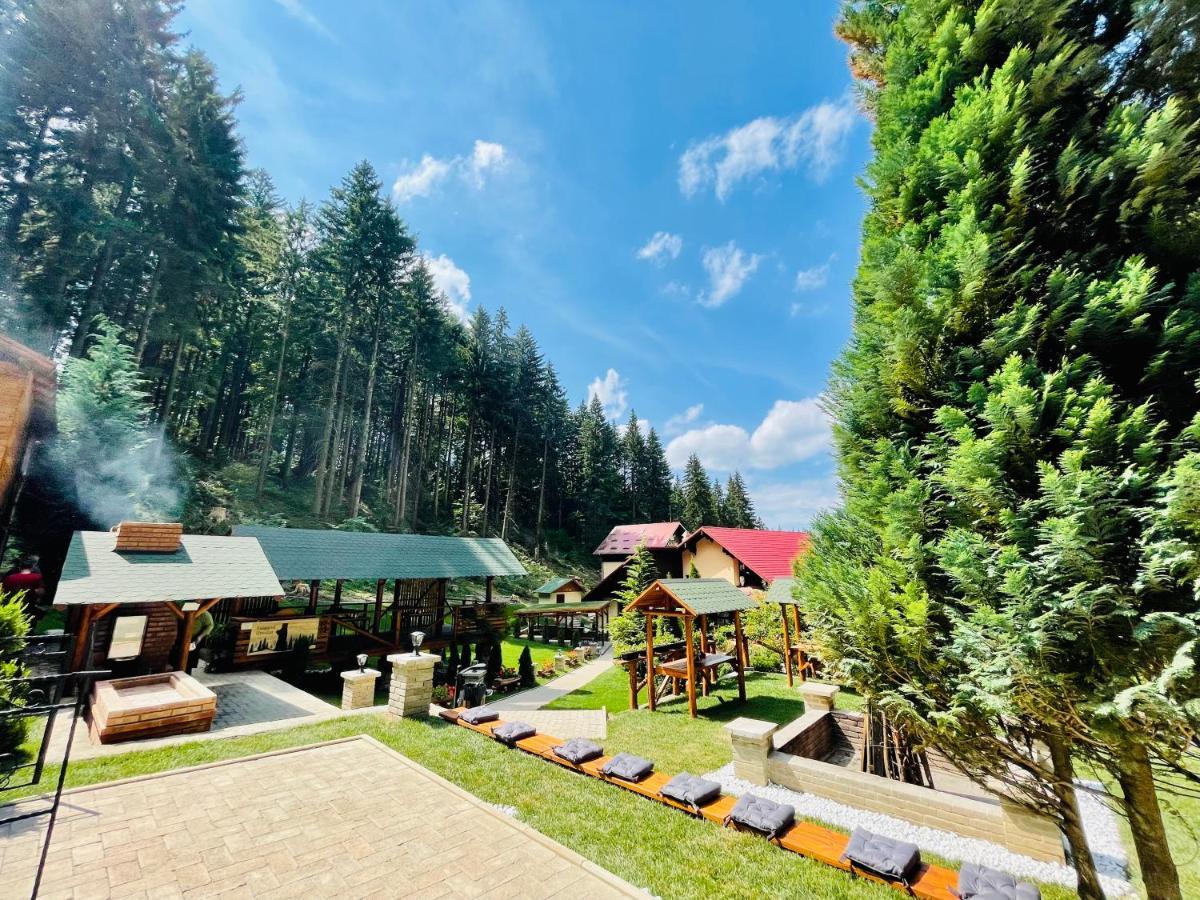 Boutique Hotel Casa Emil Poiana Brașov Zewnętrze zdjęcie
